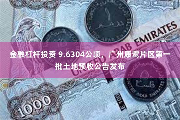 金融杠杆投资 9.6304公顷，广州康鹭片区第一批土地预收公告发布