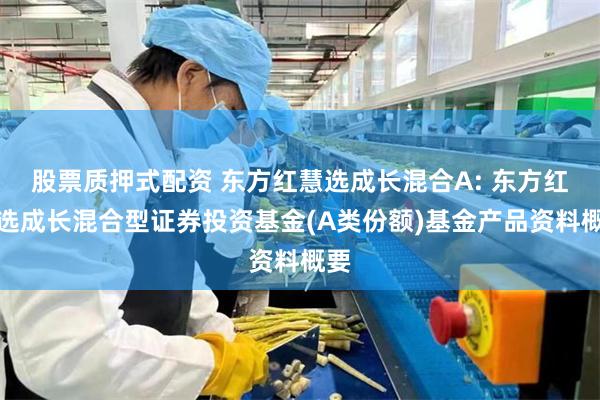 股票质押式配资 东方红慧选成长混合A: 东方红慧选成长混合型证券投资基金(A类份额)基金产品资料概要