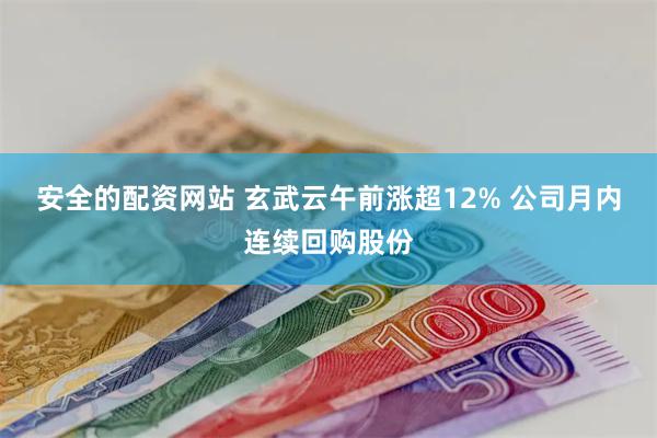 安全的配资网站 玄武云午前涨超12% 公司月内连续回购股份