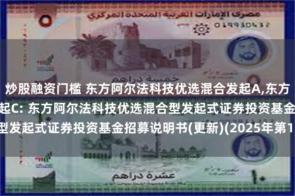 炒股融资门槛 东方阿尔法科技优选混合发起A,东方阿尔法科技优选混合发起C: 东方阿尔法科技优选混合型发起式证券投资基金招募说明书(更新)(2025年第1期)