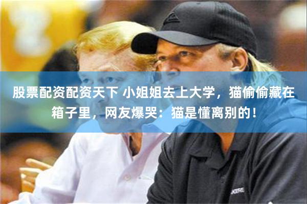 股票配资配资天下 小姐姐去上大学，猫偷偷藏在箱子里，网友爆哭：猫是懂离别的！