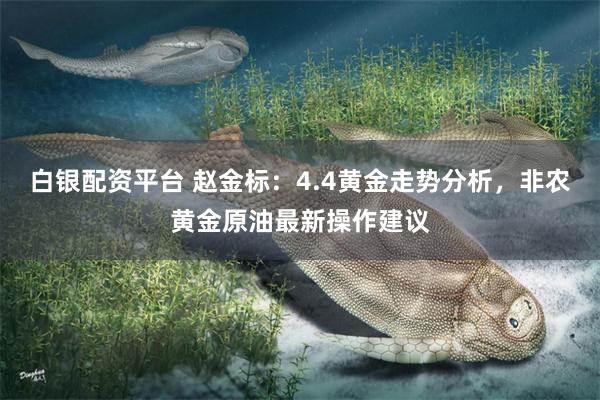 白银配资平台 赵金标：4.4黄金走势分析，非农黄金原油最新操作建议