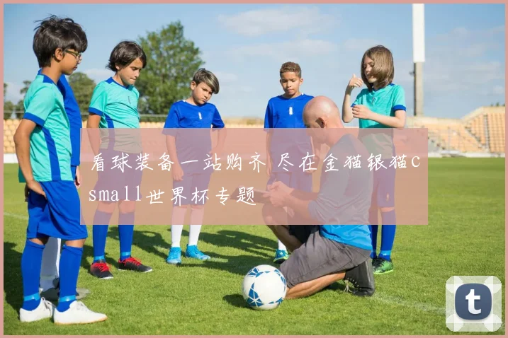 看球装备一站购齐 尽在金猫银猫csmall世界杯专题