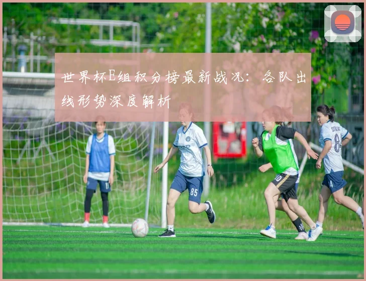 世界杯E组积分榜最新战况：各队出线形势深度解析