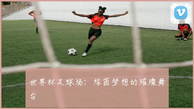 世界杯足球场:绿茵梦想的璀璨舞台