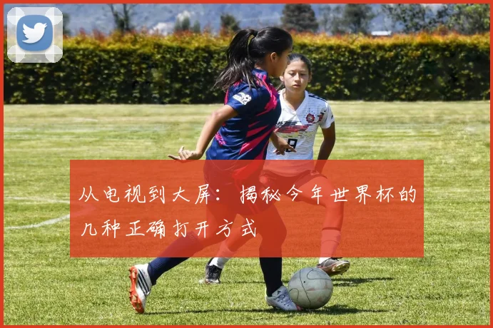 从电视到大屏:揭秘今年世界杯的几种正确打开方式