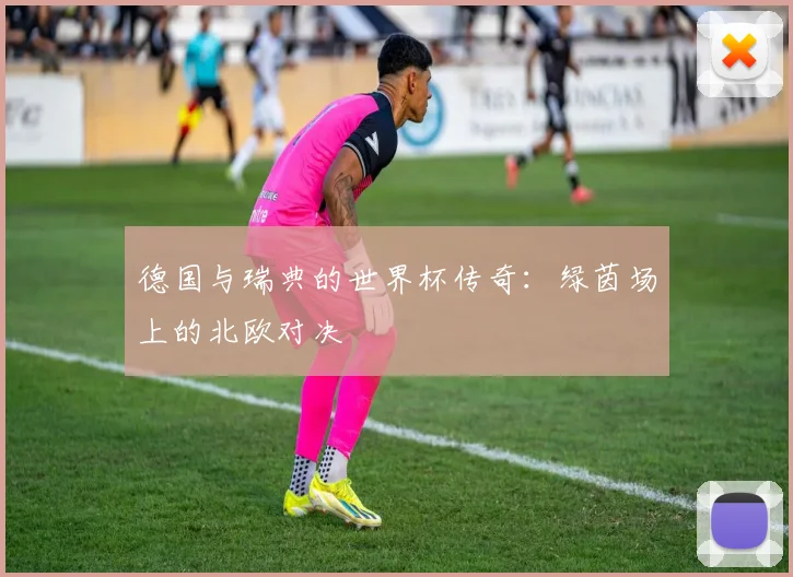 德国与瑞典的世界杯传奇:绿茵场上的北欧对决
