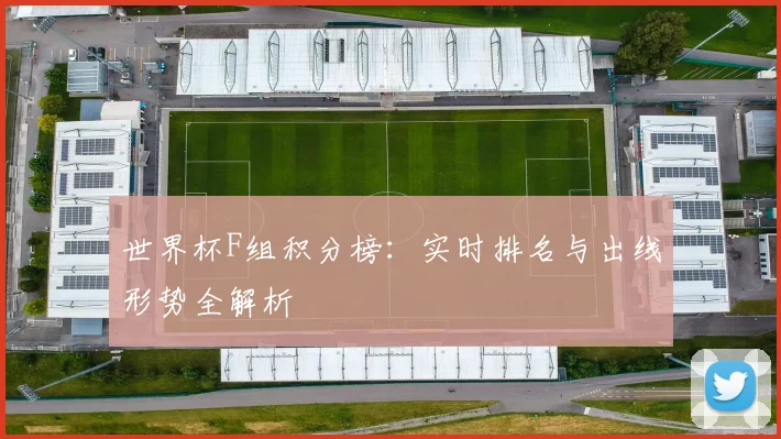世界杯F组积分榜:实时排名与出线形势全解析